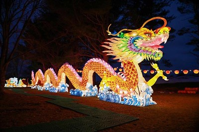 Tanglung Bertemakan Tahun Naga Terhad 2024